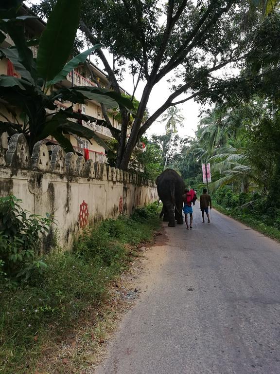 Guesthouse Dilush Beruwala Kültér fotó